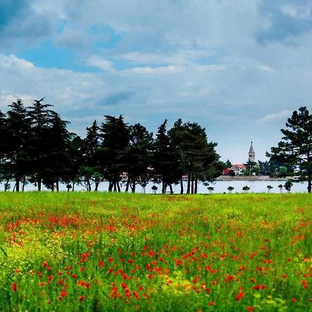 Apartment Lopar 15 Dış mekan fotoğraf
